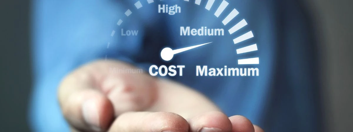 Cost of Customization